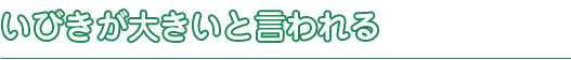 いびきが大きいと言われる